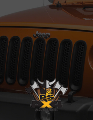PS4X4 Accessories Store Project Back Image